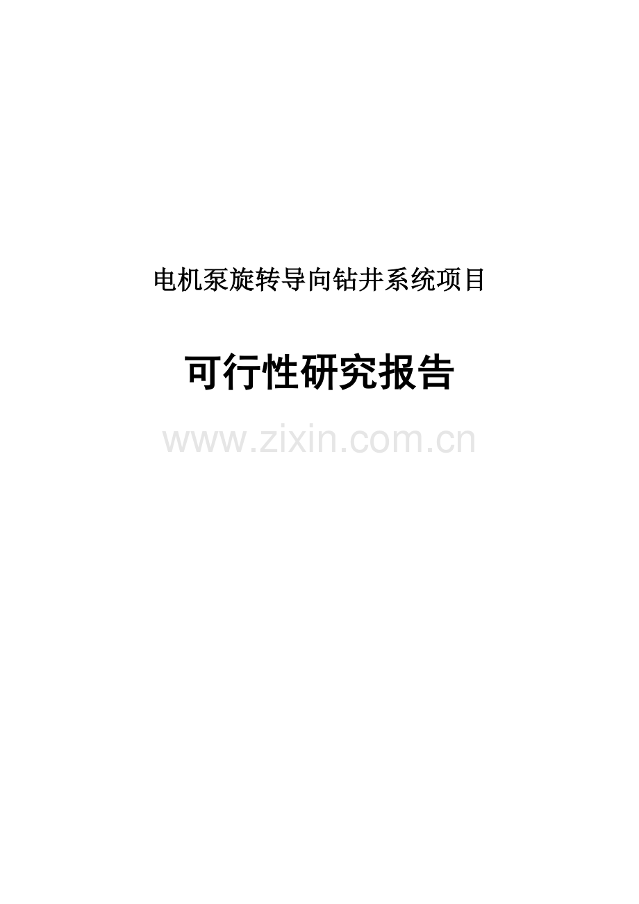 电机泵旋转导向钻井系统项目目可行性研究报告.doc_第1页