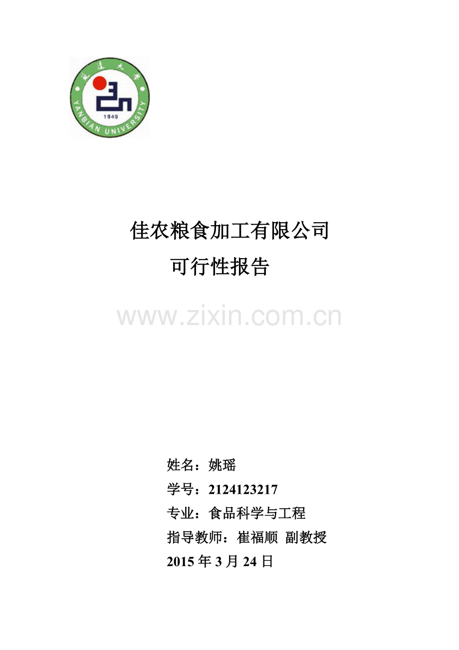 佳农粮食加工有限公司建设项目可行性研究报告.doc_第1页