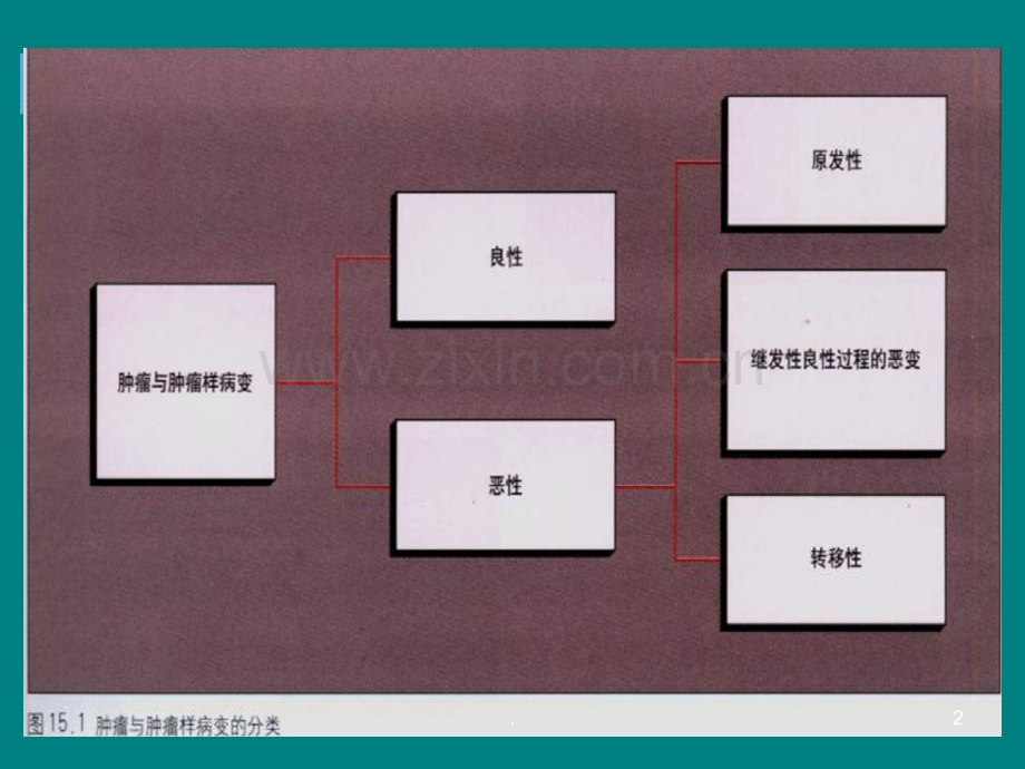 良性骨肿瘤及肿瘤样病变ppt课件.ppt_第2页