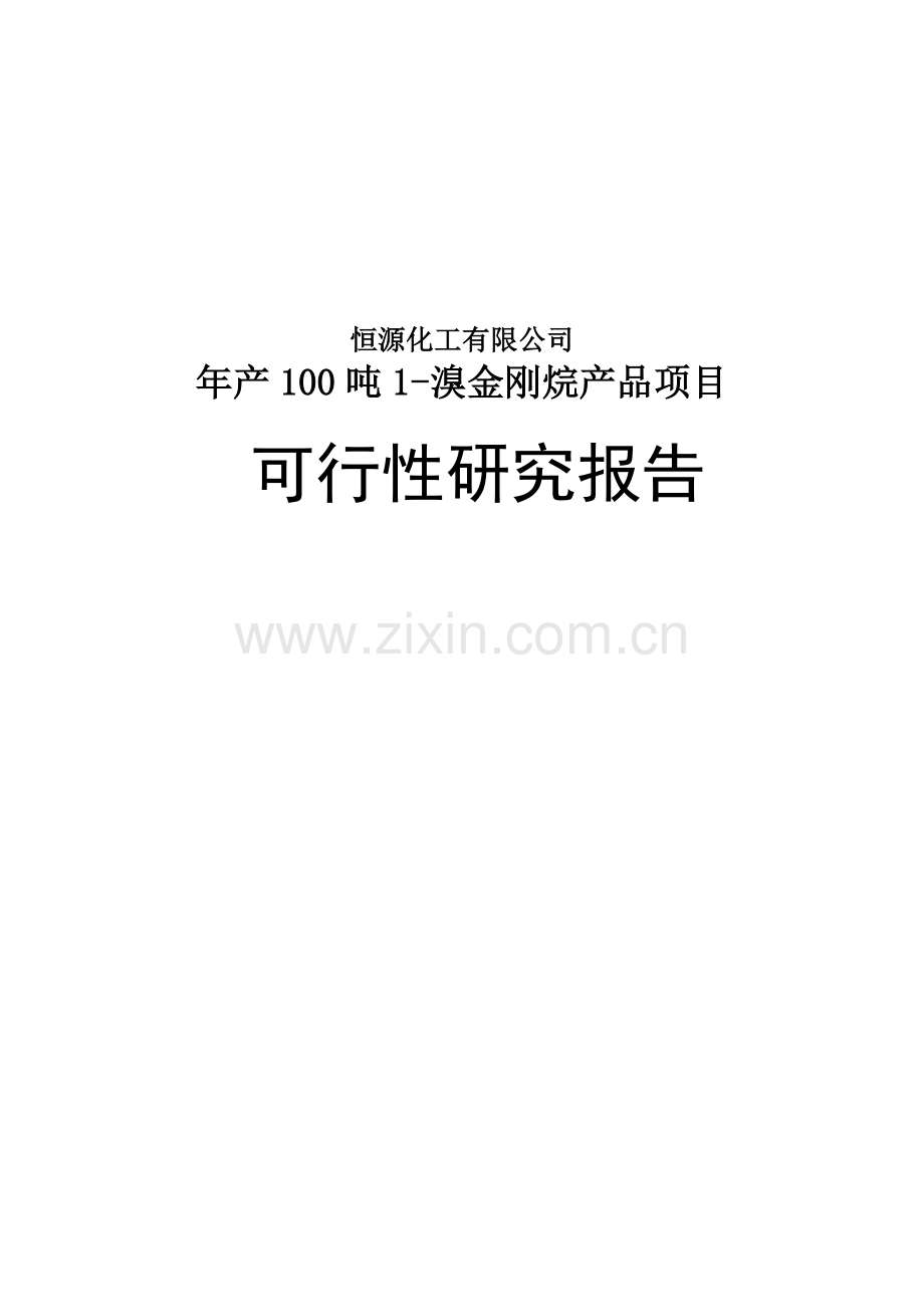 年产100吨1溴金刚烷产品项目可行性研究报告.doc_第1页