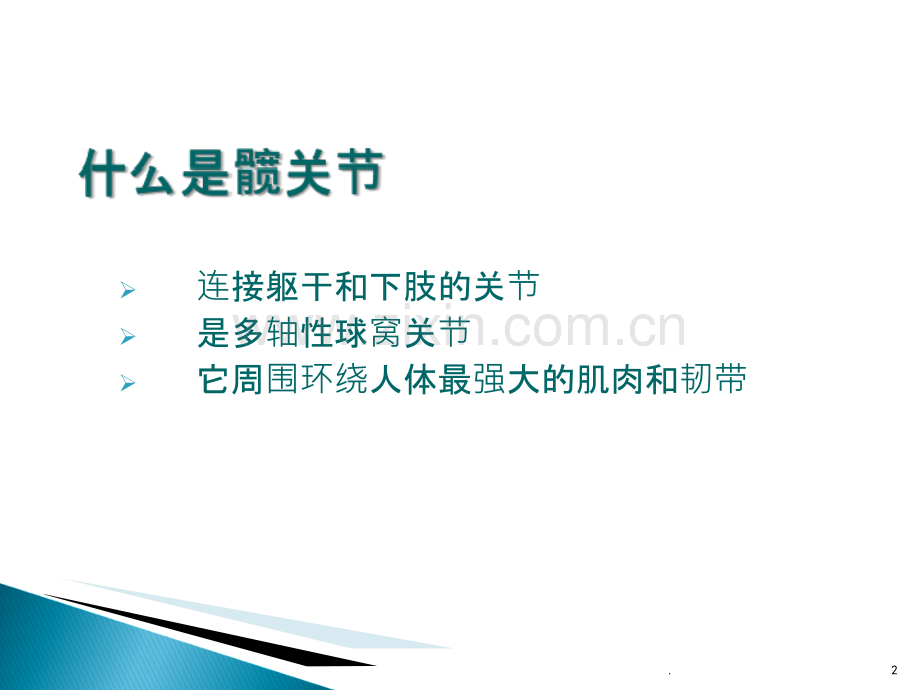 髋关节解剖学.ppt_第2页