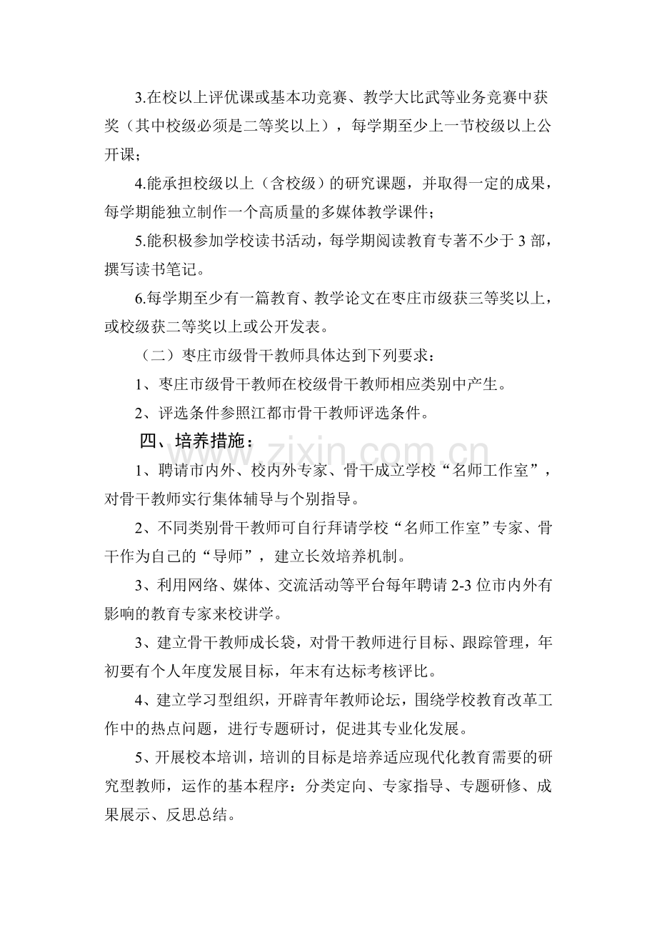 学校骨干教师培养方案.doc_第2页