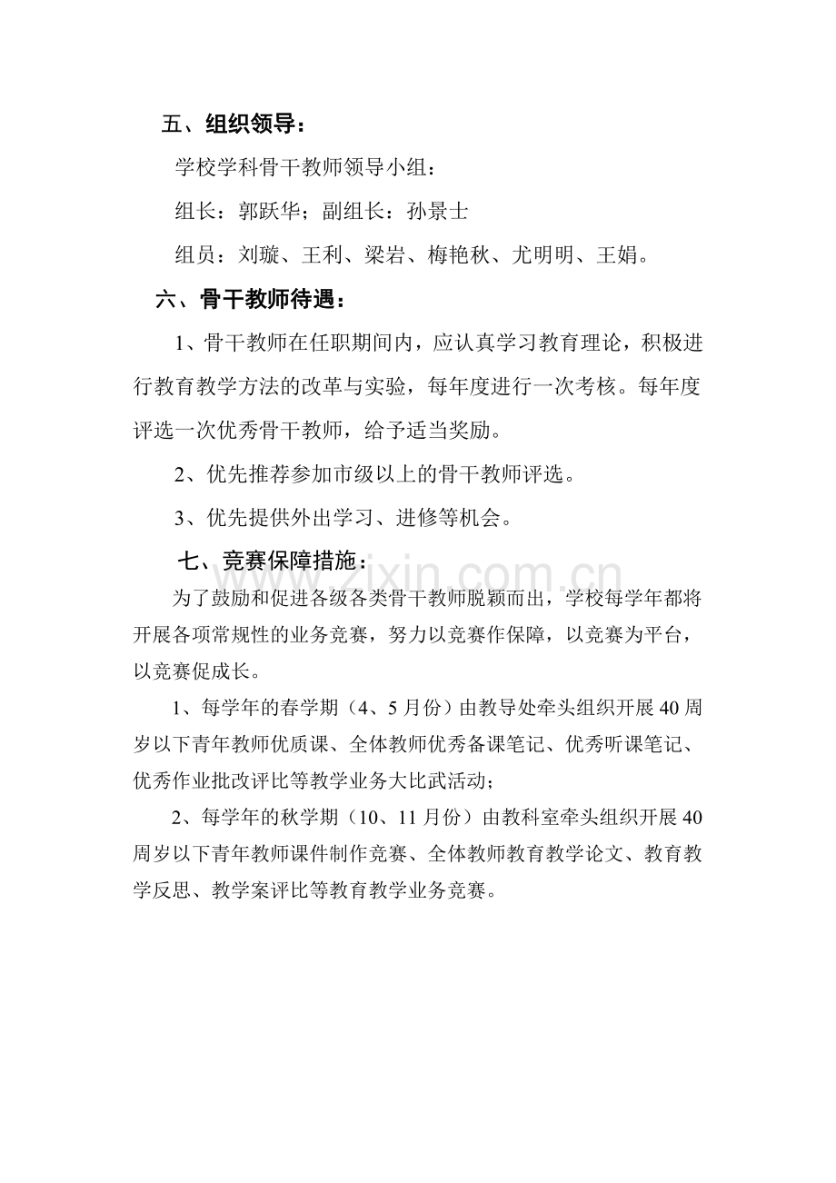 学校骨干教师培养方案.doc_第3页