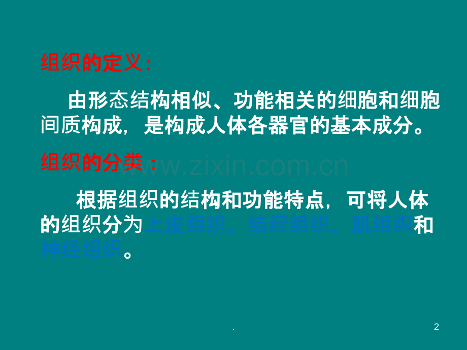 人体解剖学-组织ppt课件.ppt_第2页