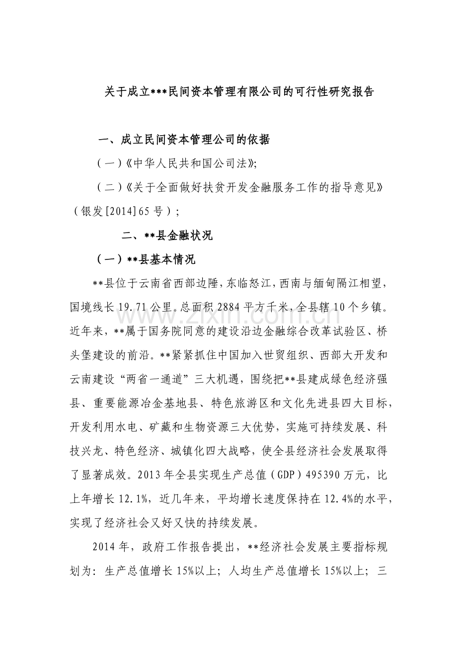 民间资本管理有限公司可行性研究报告书.docx_第1页