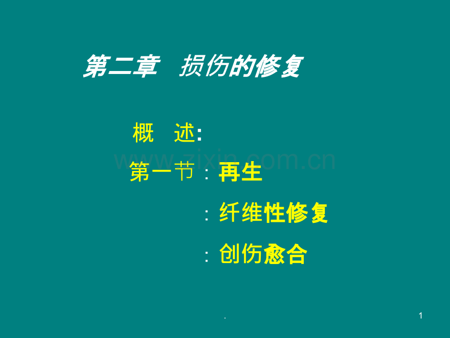 损伤的修复-(2)ppt课件.ppt_第1页