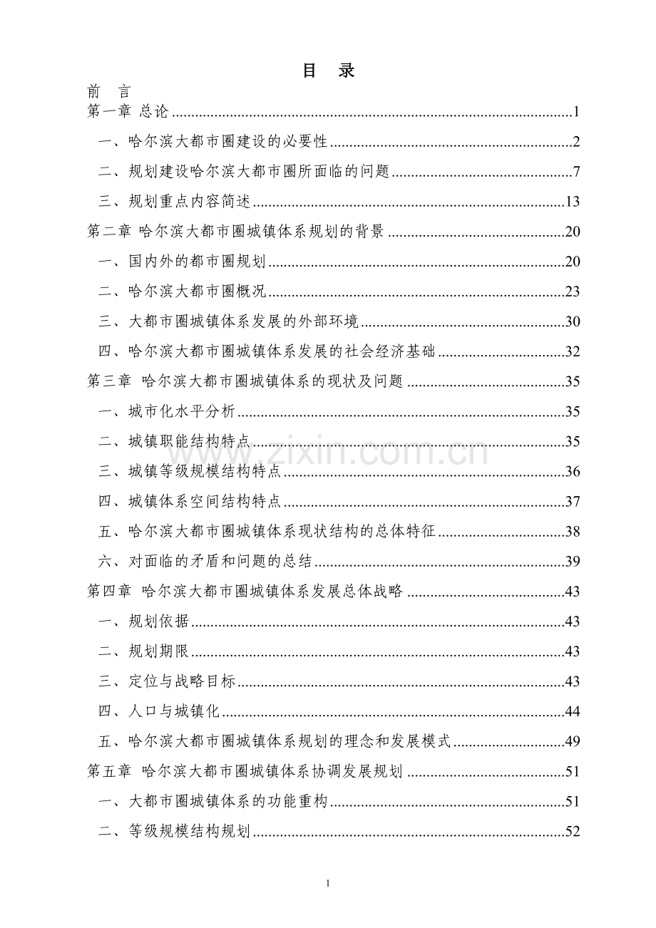 大都市圈城镇体系规划综合报告--大学毕业设计论文.doc_第1页