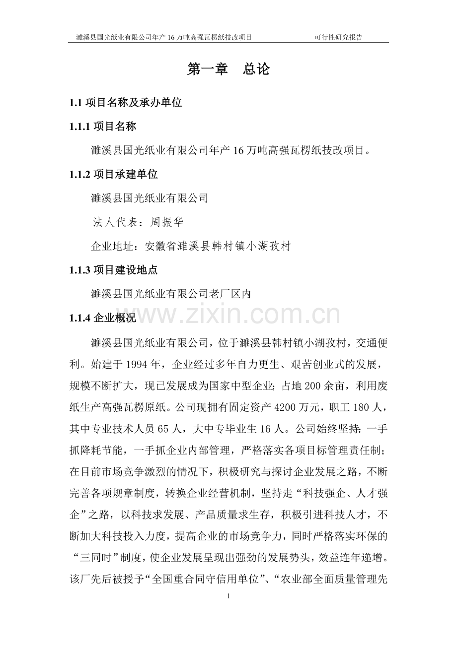 国光纸业有限公司化技改建设投资可行性研究报告.doc_第1页