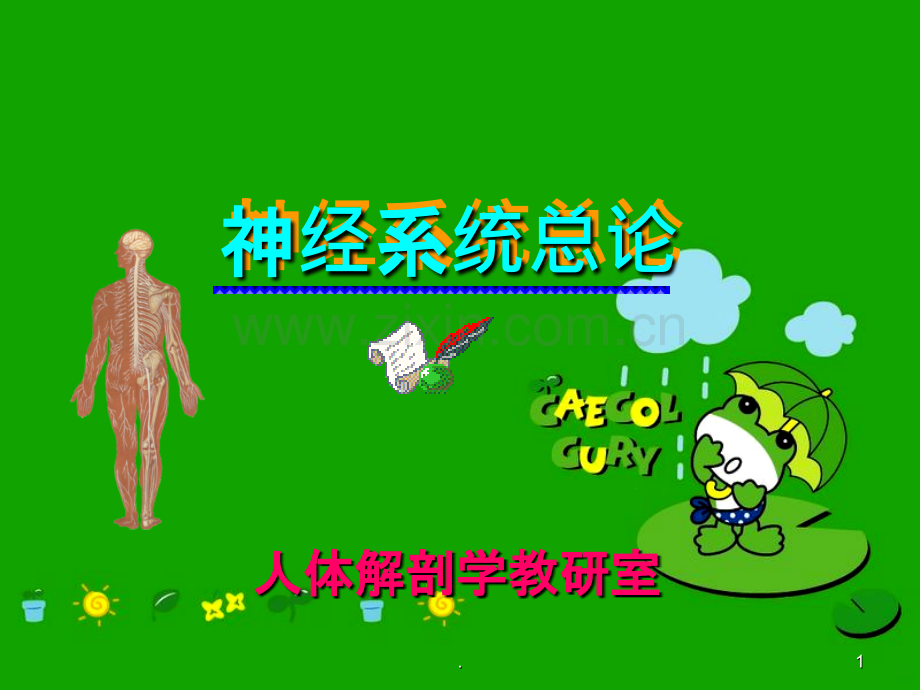 神经系统总论ppt课件.ppt_第1页