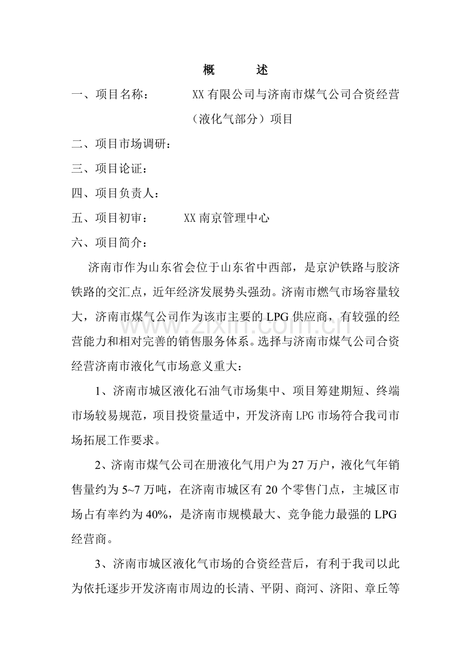 燃气有限公司可行性研究报告书.doc_第2页