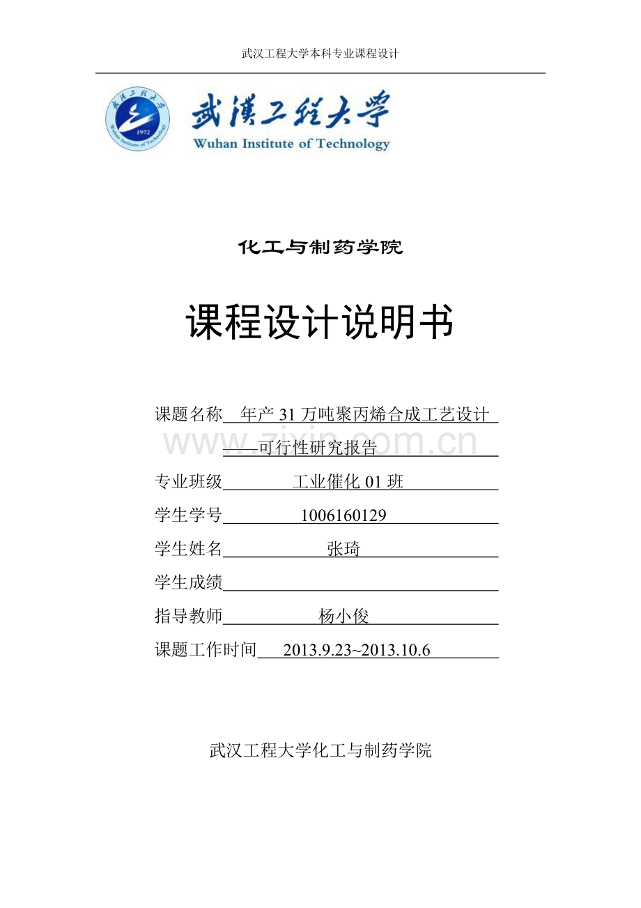 年产31万吨聚丙烯合成工艺设计可行性研究报告.doc_第2页