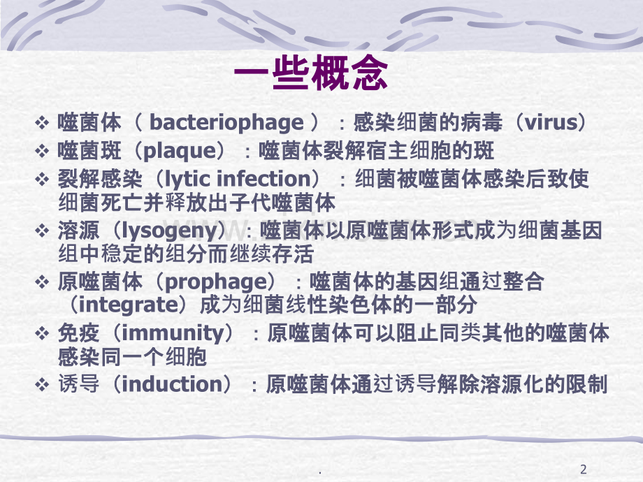 复旦大学生化噬菌体策略.ppt_第2页