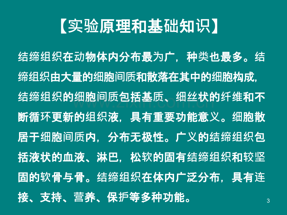 结缔组织的观察ppt课件.ppt_第3页