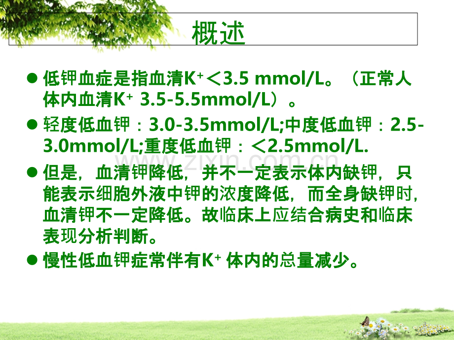 低钾血症.ppt_第3页