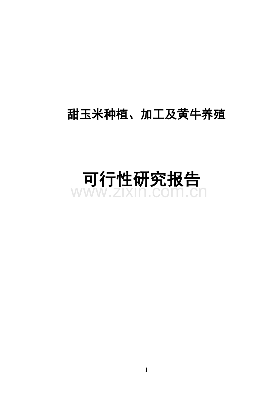 甜玉米种植、加工及黄牛养殖可行性研究报告.doc_第1页