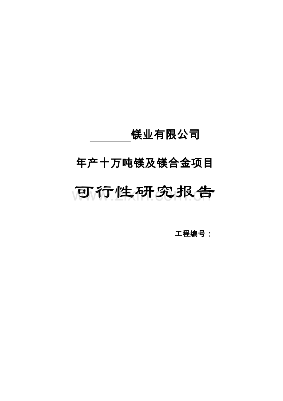 年产十万吨镁及镁合金可行性研究报告.doc_第1页