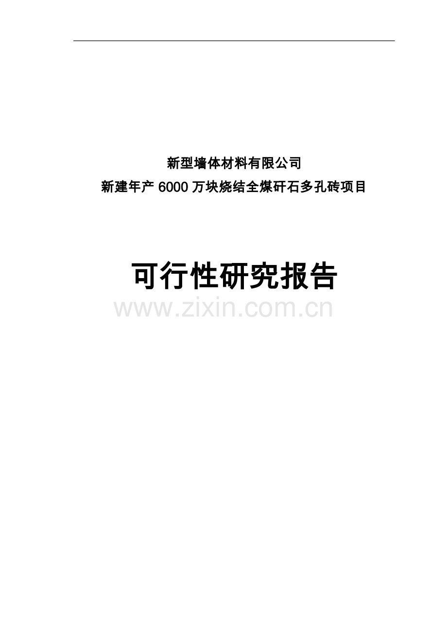 新型墙体材料可行性研究报告.doc_第1页