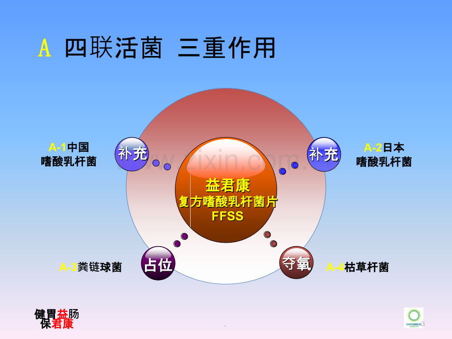 益菌康复方嗜酸乳杆菌片课件.ppt_第3页