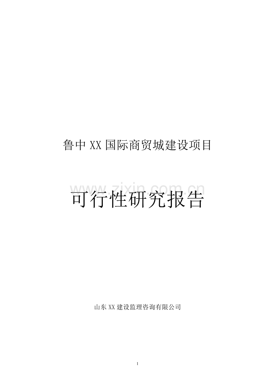 鲁中某国际商贸城建设项目可行性研究报告.doc_第1页