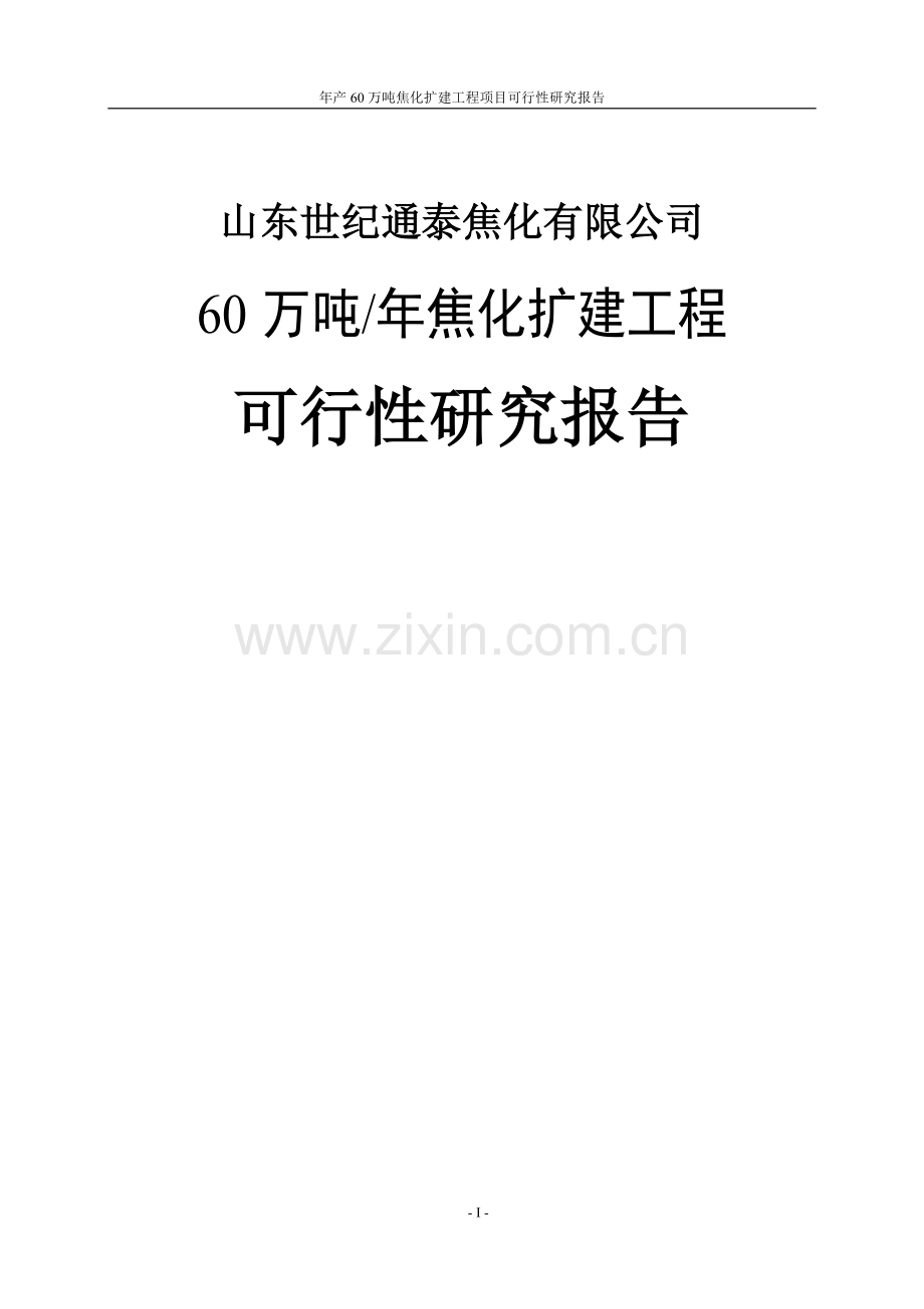 年产60万吨焦化扩建工程项目可行性研究报告.doc_第1页