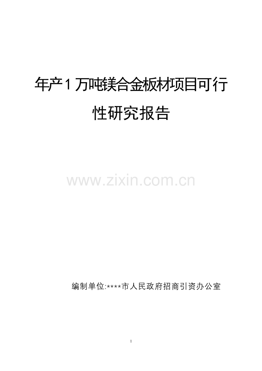 年产1万吨镁合金板材新建项目建设可行性研究报告.doc_第1页