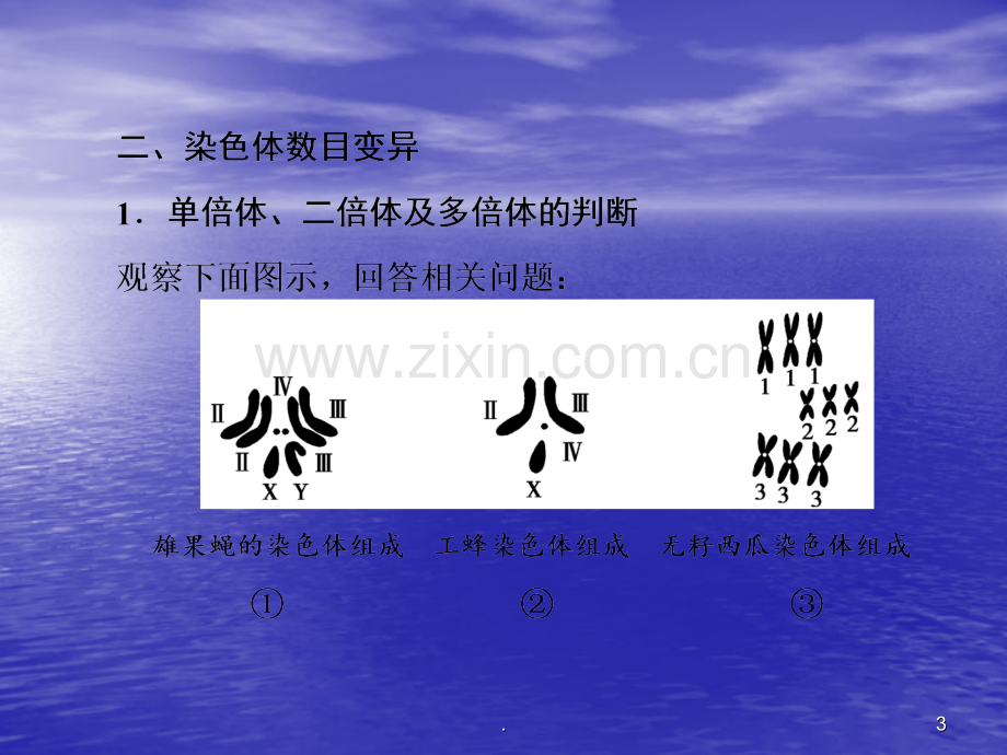 染色体变异和人类遗传病ppt课件.ppt_第3页