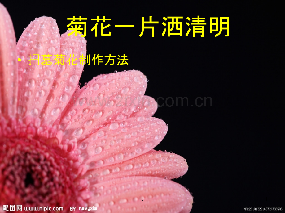 清明纸菊花制作方法.ppt_第1页