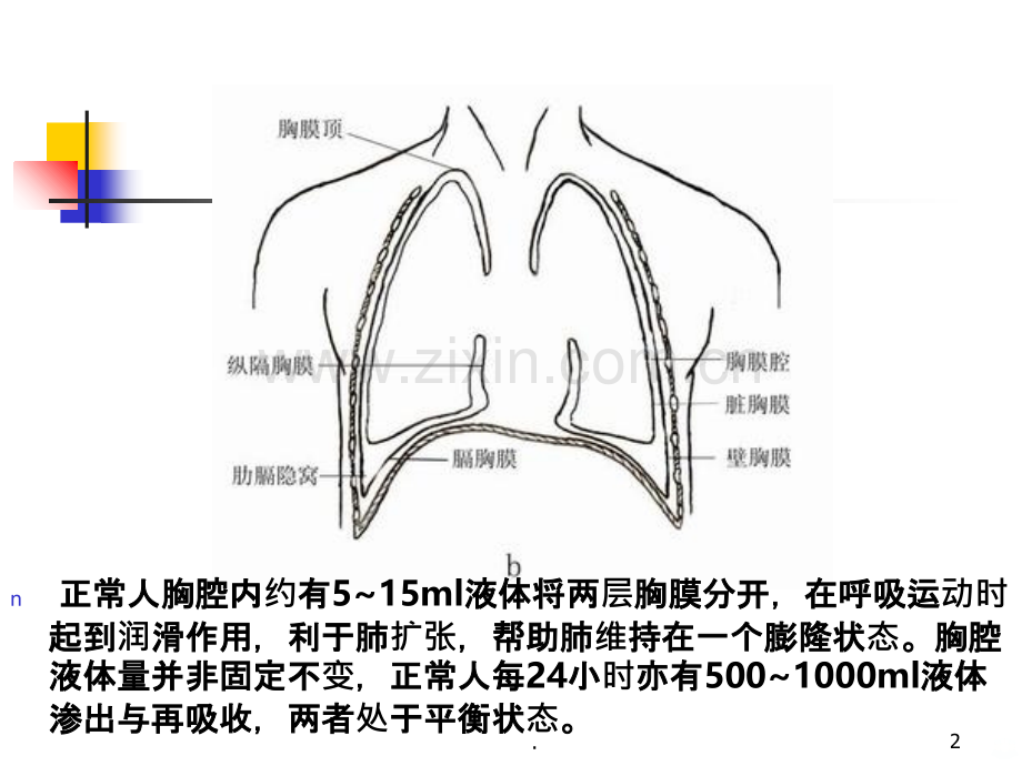 胸腔积液PPT.ppt_第2页