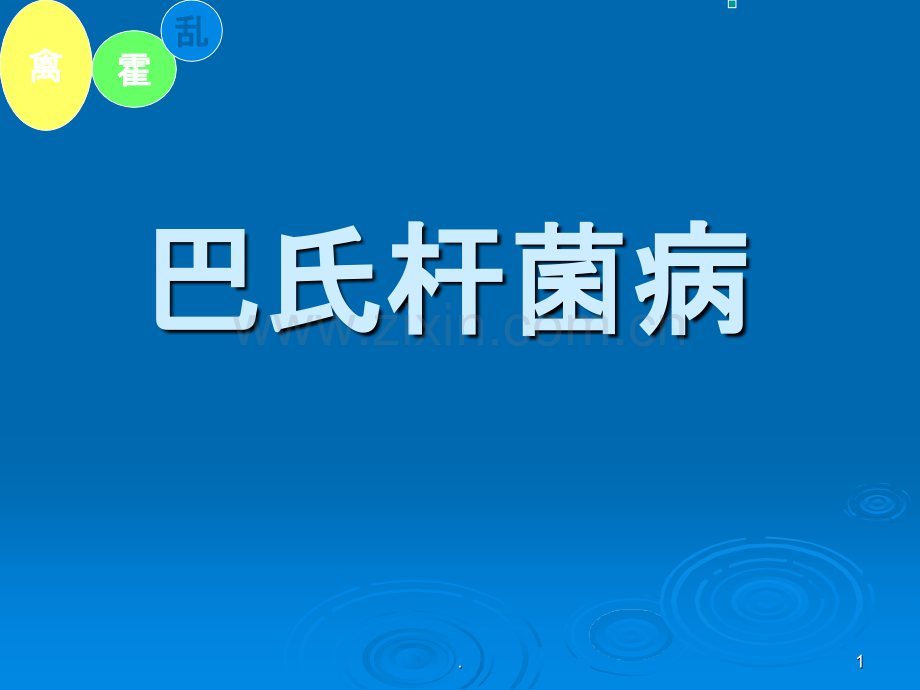 禽霍乱ppt课件.ppt_第1页