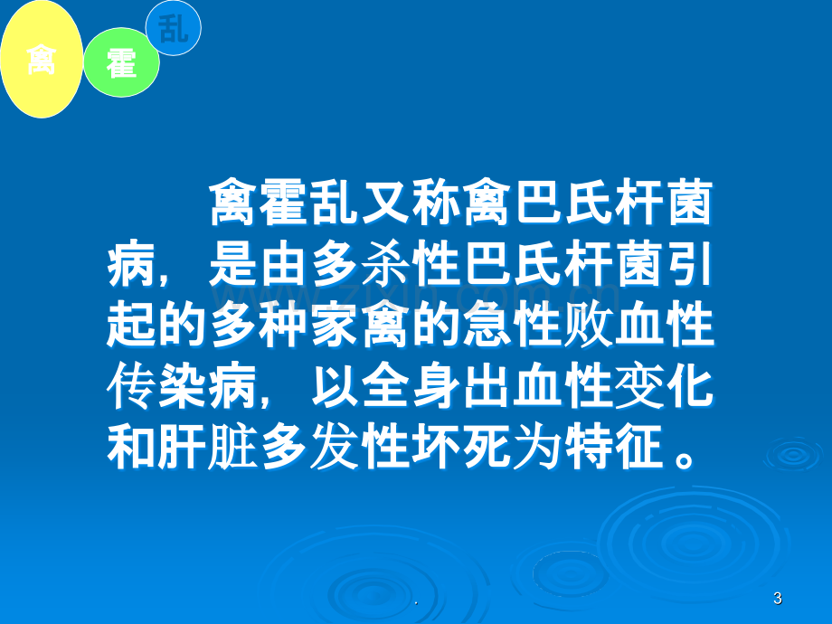 禽霍乱ppt课件.ppt_第3页