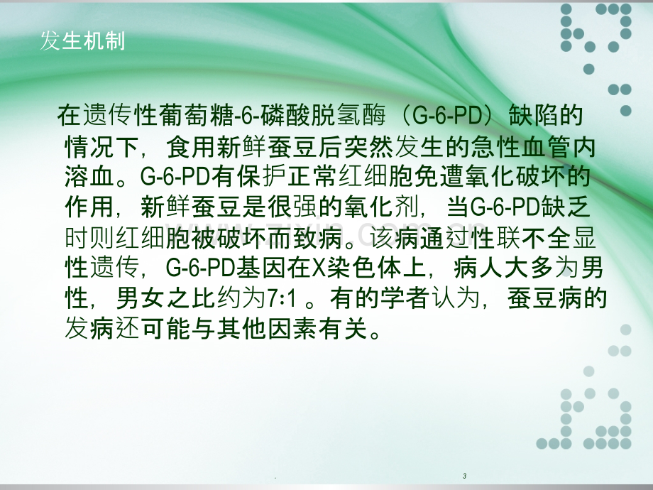 蚕豆病ppt课件.ppt_第3页