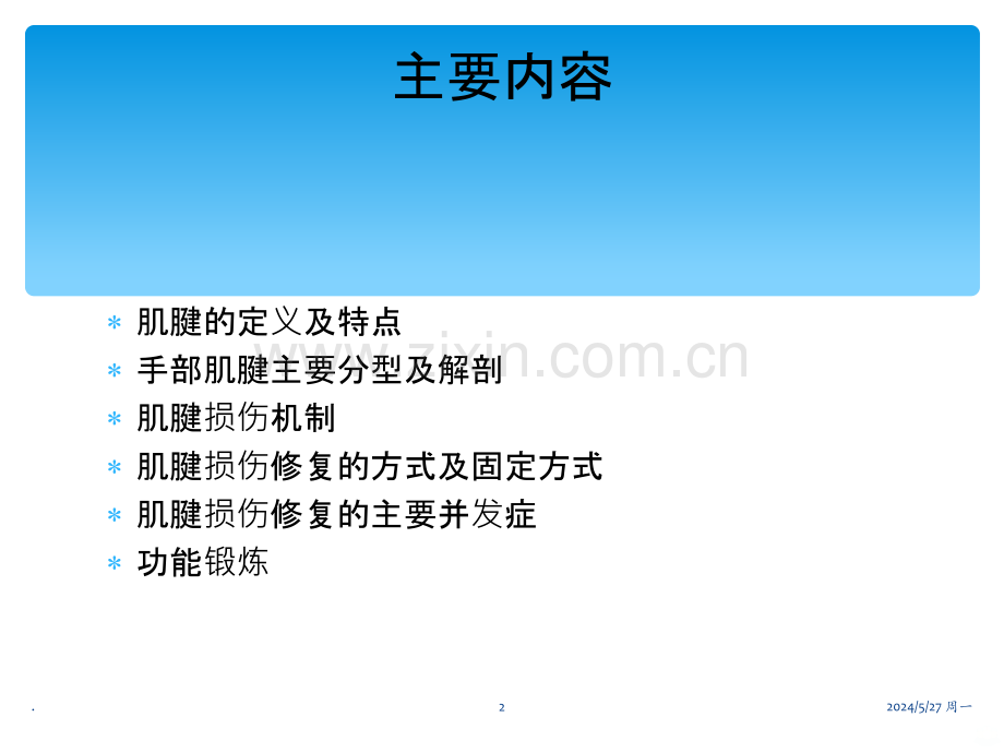 手部肌腱损伤修复与功能锻炼.ppt_第2页