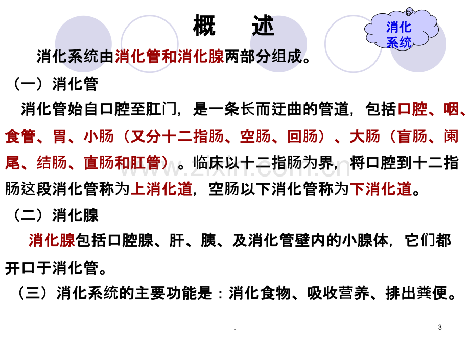 消化系统ppt.ppt_第3页