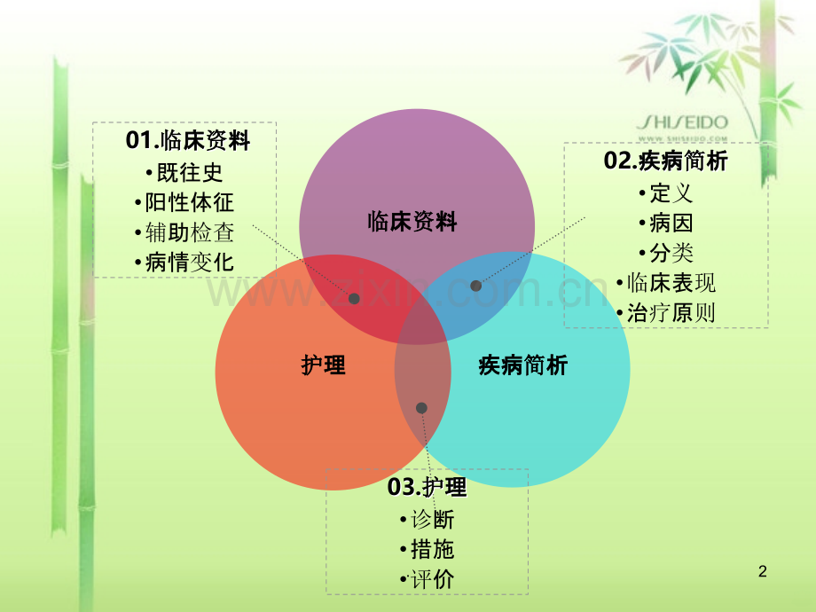 股骨颈骨折护理查房.ppt_第2页