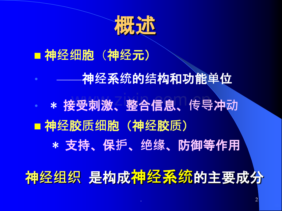 组胚神经组织ppt课件.ppt_第2页