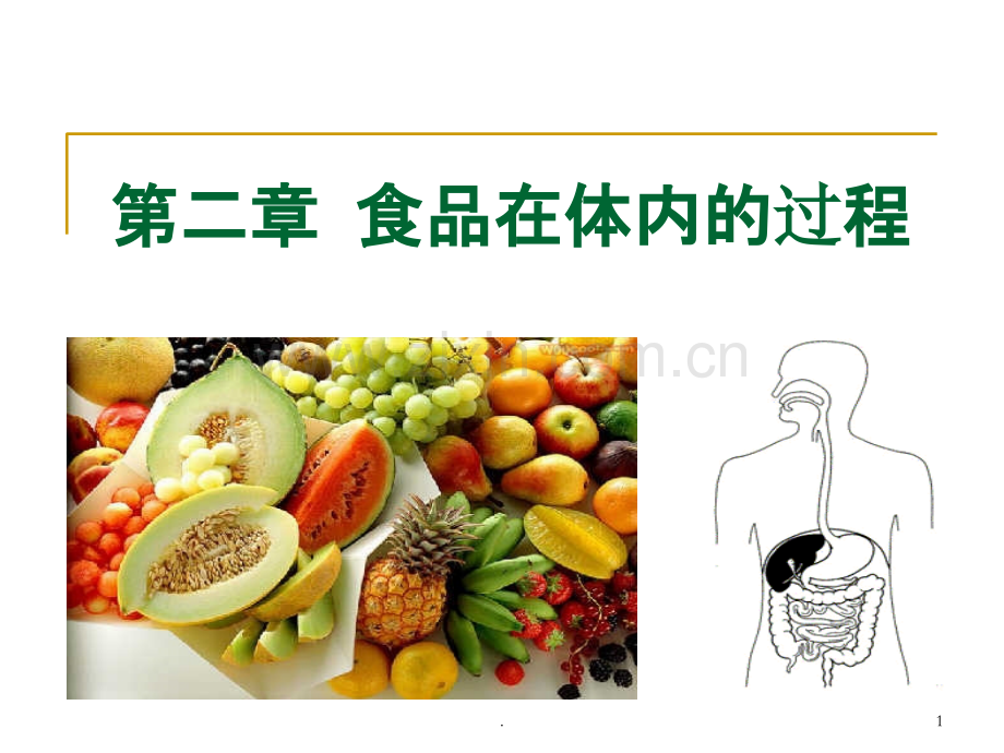 食品营养--第二章-食品在体内的过程.ppt_第1页