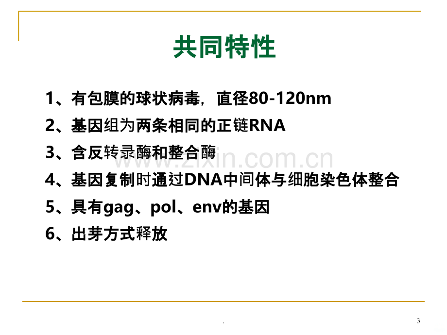 HIV与狂犬病毒知识.ppt_第3页