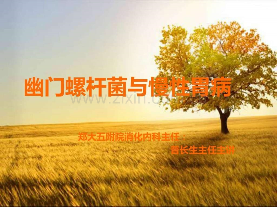 幽门螺杆菌与慢性胃病ppt课件.ppt_第1页