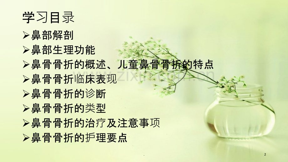 鼻骨骨折患者的-护理.ppt_第2页