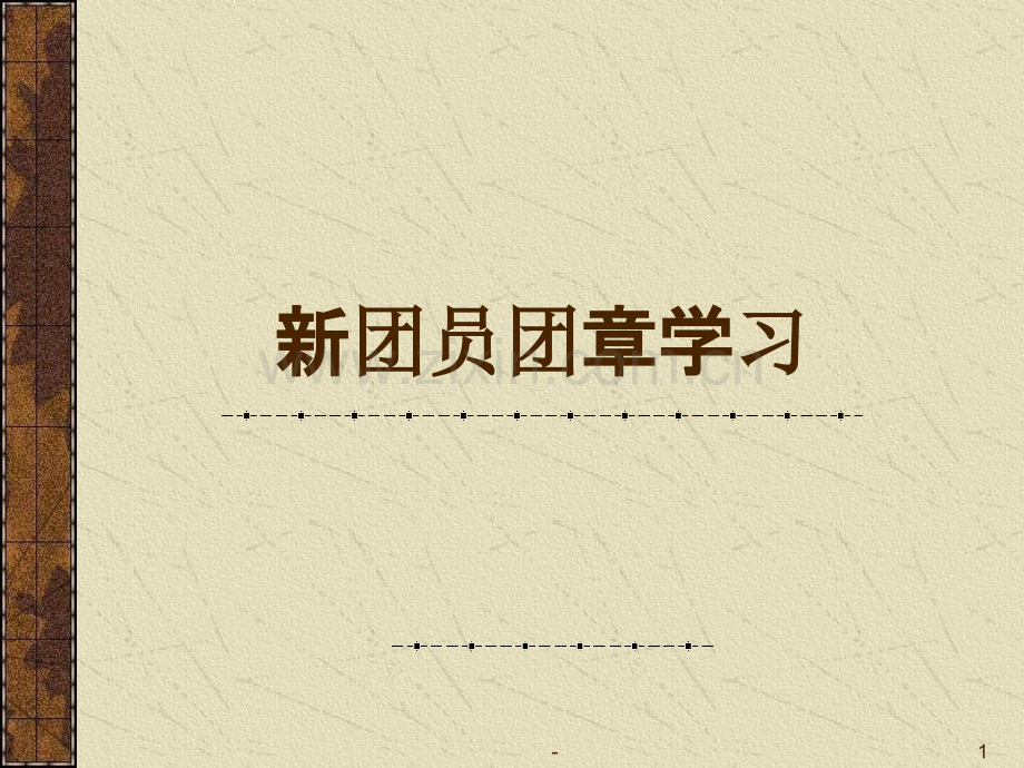 共青团团章.ppt_第1页