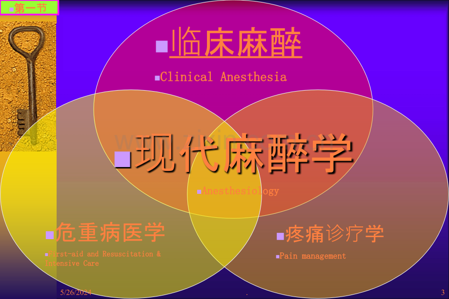 疼痛治疗学绪论ppt课件.ppt_第3页