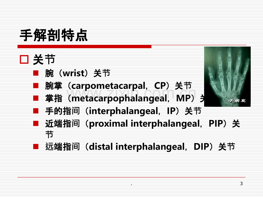 手功能康复.ppt_第3页