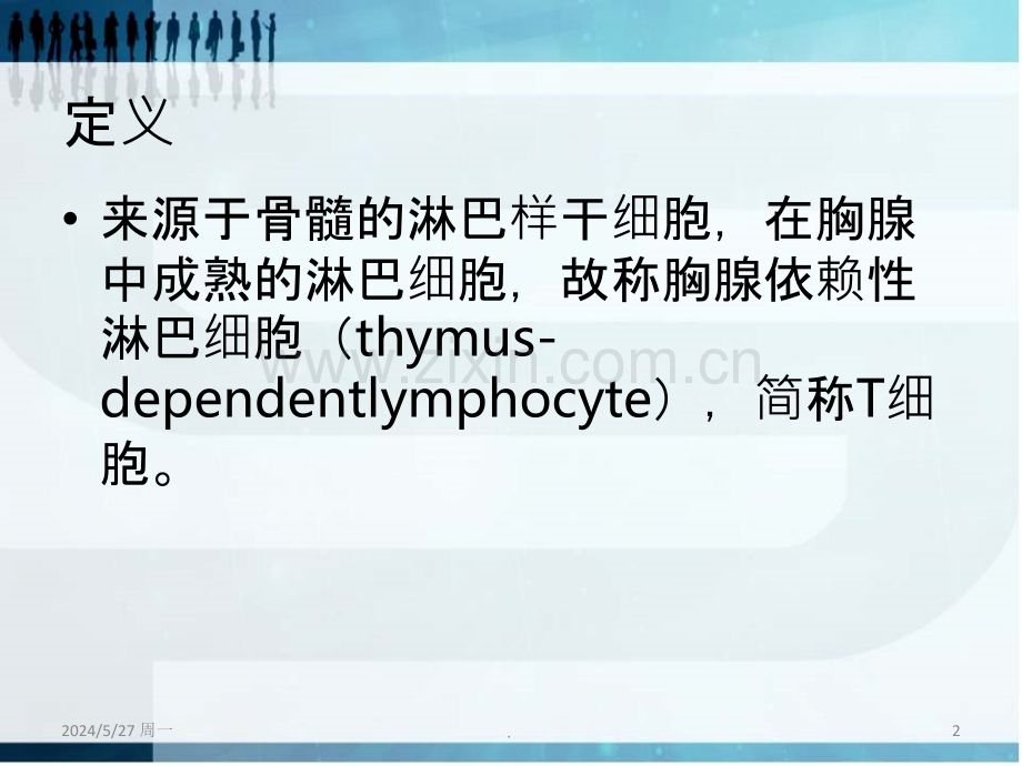 T淋巴细胞亚群及其临床意义.ppt_第2页