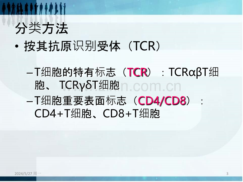 T淋巴细胞亚群及其临床意义.ppt_第3页