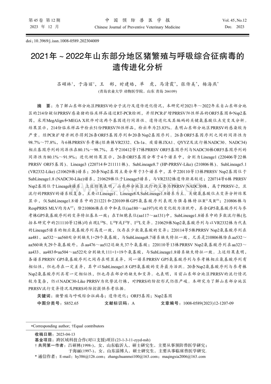 2021年-2022年山东部分地区猪繁殖与呼吸综合征病毒的遗传进化分析.pdf_第1页