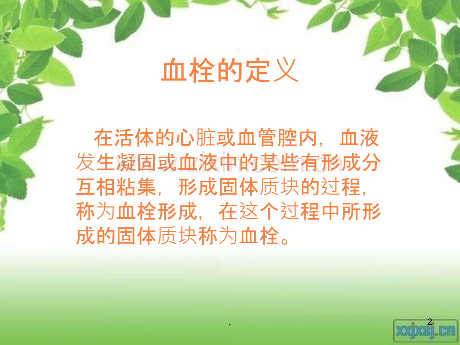 深静脉血栓病人的护理ppt课件.ppt_第2页