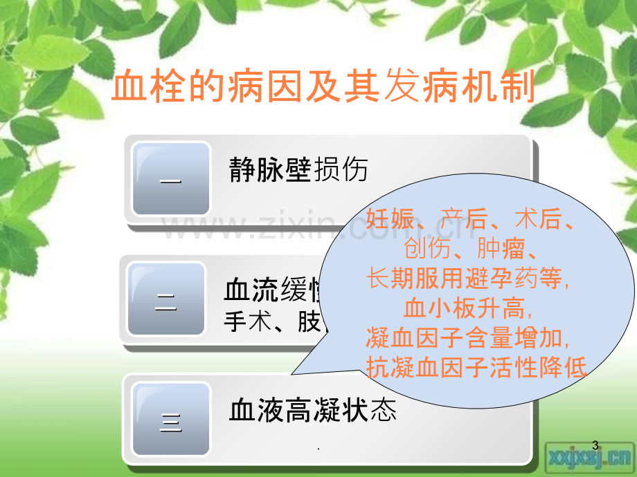 深静脉血栓病人的护理ppt课件.ppt_第3页