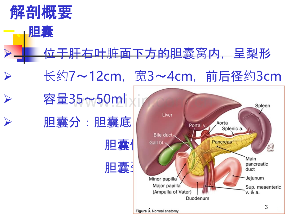 急性胆囊炎胆道引流管的护理.ppt_第3页