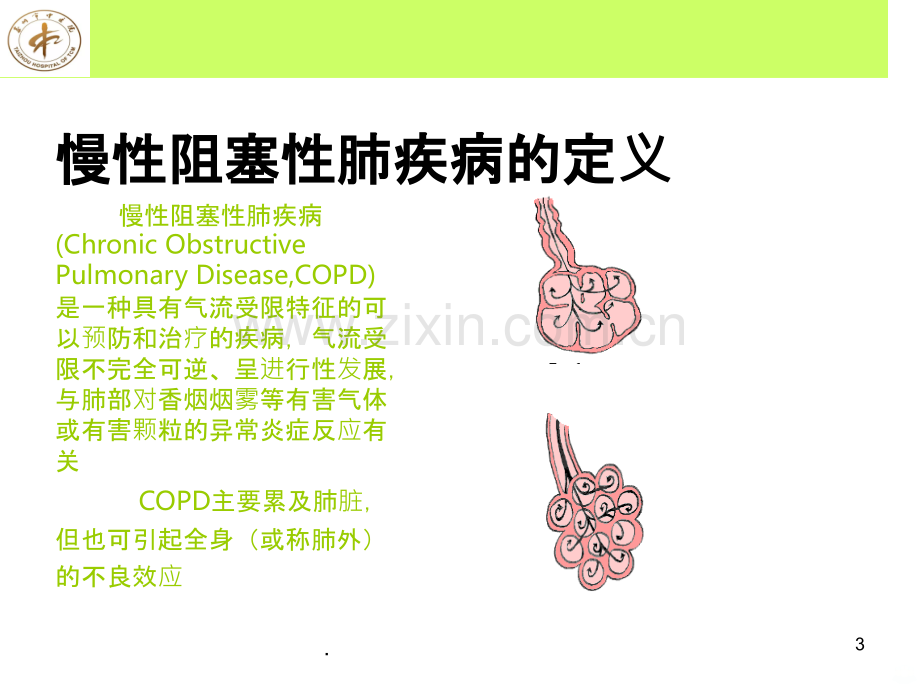 慢性阻塞性肺疾病相关知识.ppt_第3页