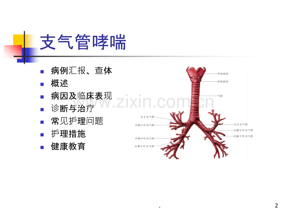 支气管哮喘教学查房.ppt_第2页